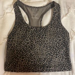 Cheetah workout set